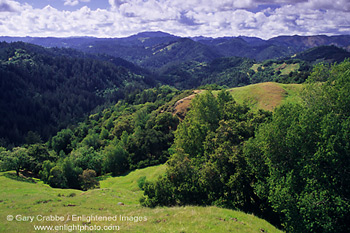 Grass hills and forest in spring above the Russian River Valley, Austin Creek State Rec. Area, Sonoma County, California
