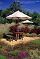 Garden Table and shade umbrella, Lambert Ridge Winery, Dry Creek Valley, Sonoma County, California