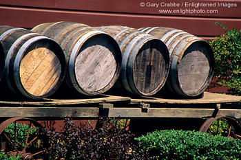 Wood wine barrels on cart at Everett Ridge Winery, Dry Creek Valley, Sonoma County, California