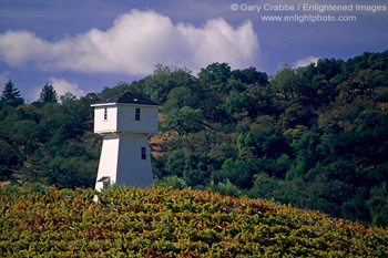 Silver Oak Wine Vineyard in the hills of the Alexander Valley, near Asti, Sonoma County, California