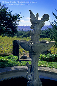 Roman statue in fountain in front of vineyard at Bartholomew Park Winery Estate, Sonoma County, California2
