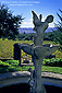 Roman statue in fountain in front of vineyard at Bartholomew Park Winery Estate, Sonoma County, California