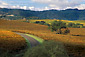 Vineyards in fall along the Alexander Valley, near Asti, Sonoma County, California