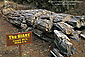 The Giant, Petrified Wood fossil log, Petrified Forest, Sonoma County, California