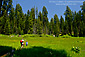 Family hiking in green grass at Crescent Meadow, Sequoia National Park, California
