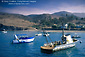 Picture: Boats at anchor at Two Harbors, Catalina Island, California