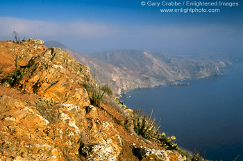 Picture: Rugged coastal cliffs rise above the Pacific Ocean near Catalina Harbor, Catalina Island, California