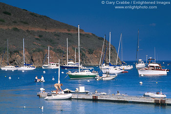 Picture: Boats anchored at Two Harbors, Catalina Island, California