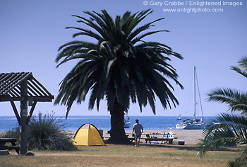 Picture: Campsite at Little Harbor, Catalina Island, California