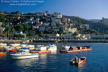 Picture: Houses on Mount Ada overlook boats in Avalon Harbor, Catalina Island, California