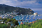 Picture: Overlooking boats in Avalon Harbor from Mount Ada, Avalon, Catalina Island, California