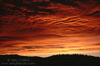 Alpenglow turns altostratus storm clouds red at sunrise, Eastern Sierra, California