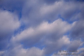 Cumulus Humilis clouds over California