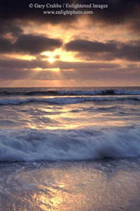 Sunset light through fog clouds over breaking wave, Torrey Pines State Park, San Diego County, California