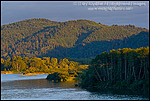Picture: Sunset light on forested hills and trees along the Klamath River, Del Norte County, California