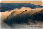 Picture: Sunrise light on coastal fog over hills near the mouth of the Klamath River, Redwood National Park, California