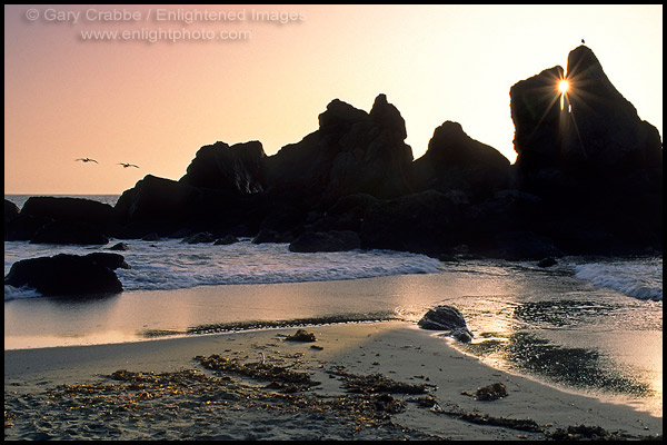 Photo: Sunset at Luffenholtz Beach, near Trinidad, Humboldt County, California