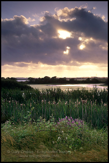 Photo: Sunset at the Arcata Marsh, Arcata, Humboldt County, CALIFORNIA