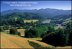 Picture: Looking toward the King Range and the Mattole River, near Honeydew, Humboldt County, CALIFORNIA