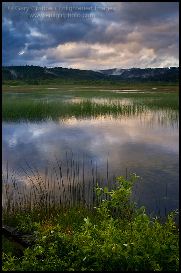 Storm clouds and fog at sunrise over Big Lagoon Marsh, Humboldt Lagoons State Park, California