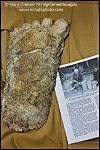 Photo: Bigfoot artifacts and footprint casts on display at the Willow Creek - China Flat Museum, Willow Creek, California
