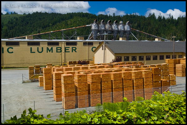 Photo: Stacked piles of wood boards at the Pacific Lumber Company Lumber Mill at Scotia, Humboldt County, California
