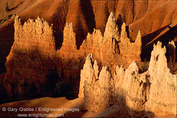 Morning light on hoodoos near the Queens Garden, Bryce Canyon National Park, Utah