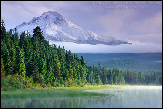 Photo: Sunlight and fog at Trillium Lake, below Mount Hood, Oregon