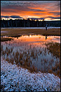 Picture: Autumn sunrise over pond, Yellowstone National Park, Wyoming