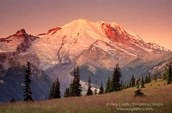 Sunrise light on glacier covered Mount Rainier Volcano, Mount Rainier National Park, Cascade Mountain Range, Washington