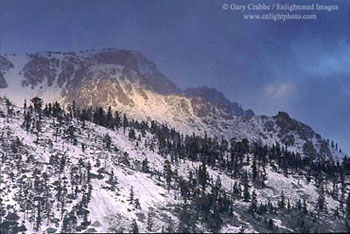 Sunrise light through storm clouds on the slopes of Mount Tallac, South Lake Tahoe Area, California