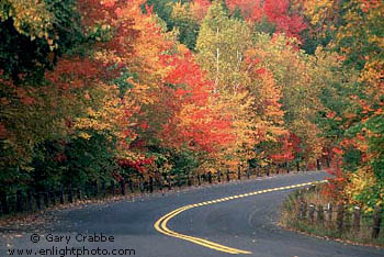 New England Road in Fall, Connecticut