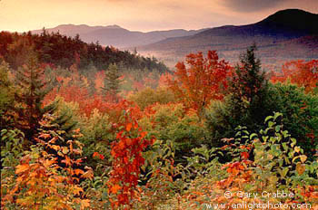 Fall Colors at Sunrise below Kancamagus Pass, White Mountains, New Hampshire