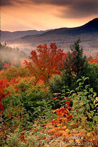 Fall Colors at Sunrise below Kancamagus Pass, White Mountains, New Hampshire