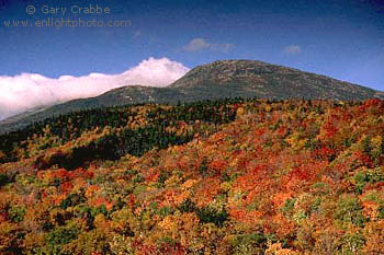Fall Colors below Mount Washington, White Mountains, New Hampshire