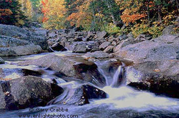 Fall Colors alongside stream near Glen Ellis Falls, White Mountains, New Hampshire