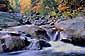 Fall Colors alongside stream near Glen Ellis Falls, White Mountains, New Hampshire