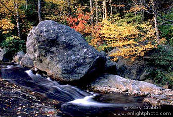 Fall Colors, Boulder, and Stream near Glen Ellis Falls, White Mountains, New Hampshire