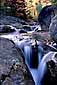 Fall Colors above Stream in the Glen Ellis Falls Area, White Mountains, New Hampshire