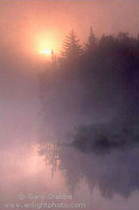 Misty morning sunrise on unnamed lake, Adirondack Mountains, New York
