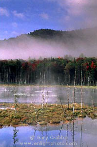 Misty fall morning at pond near Lake Harris, Adirondack Mountains, New York