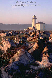 Sunrise light on driftwood and coastal grasses near the Coquille River Lighthouse, Bullards Beach State Park, Bandon, Southern Oregon coast