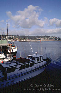 Commercial fishing boat at Fisherman's Wharf, Newport, Central Oregon Coast