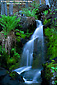 Stream waterfall cascades through rocks, ferns, and green moss, Yosemite National Park, California