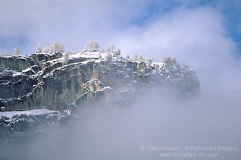 Winter storm clearing on the rim of Yosemite Valley, Yosemite National Park, California