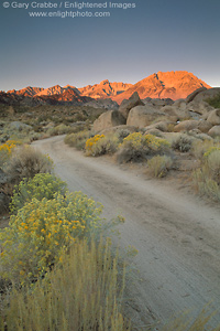 Picture: Dirt road and alpenglow at sunrise on high mountain peaks, Eastern Sierra, California