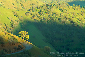 Photo: Rural country road through green hills in spring, Colusa County, California