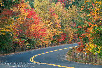 Picture: Fall colors autumn foliage on trees along curved rural country road, Connecticut