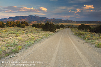 Picture: tire tracks on empty dirt road in the high desert near Santa Fe, New Mexico