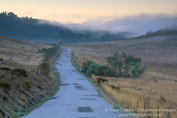 Picture: Morning fog at sunrise over empty rural country road, near Pescadero, San Mateo Coast, California
